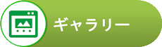 ギャラリー