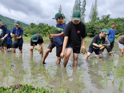 田植え.jpg
