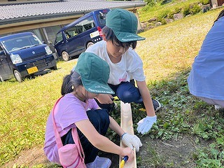 07293.jpg
