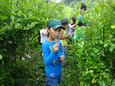 DSC04939.JPG