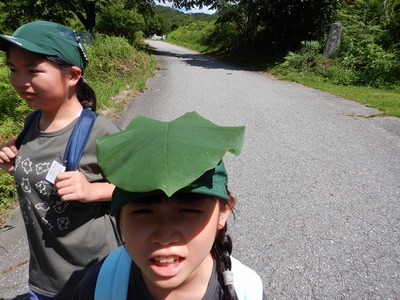DSCN0706.jpg