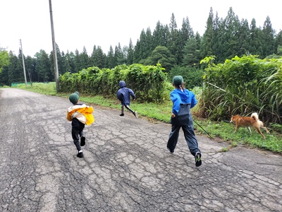 IMG20250812093335.jpg