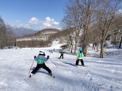 IMG20260327150129.jpg
