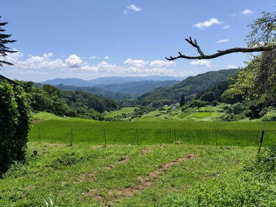 IMG20260810111817.jpg