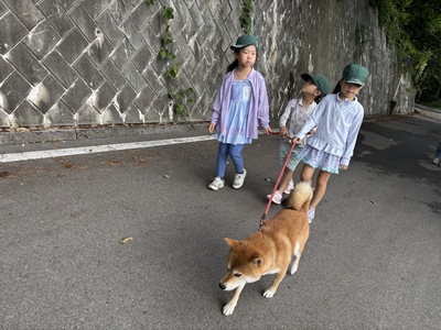 IMG_2885.JPG