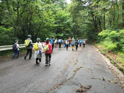 IMG_5447.JPG