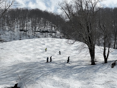 IMG_7599.JPG