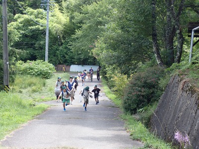 P7270046.jpg