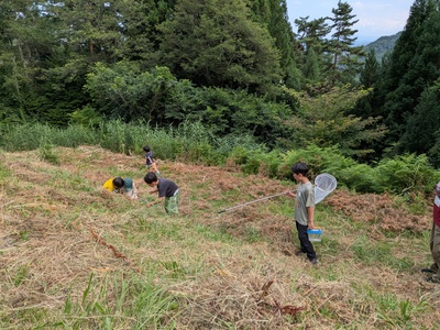 PXL_20260803_065535896.jpg