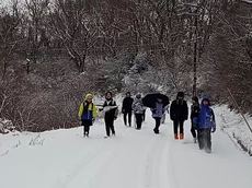 写真：通学路の雪道を歩く子どもたち