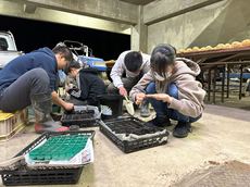 写真：夜な夜な種まきをする中学生