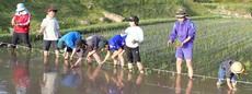 写真：地元生と一緒に行った田植え