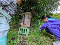 写真：蜂箱を設置！