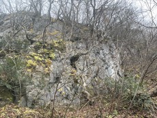 写真：石灰岩の壁