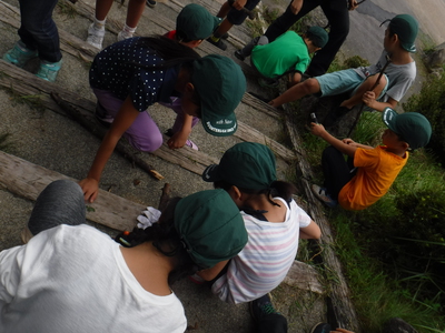 DSCF8870.JPG