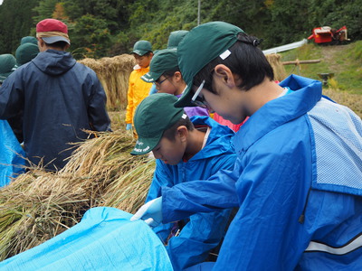 PA130094.JPG