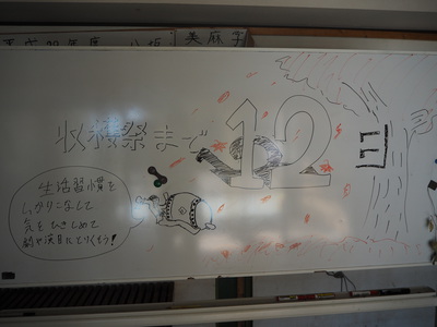 PB060787.JPG