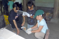 DSCF0586