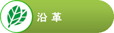 沿革